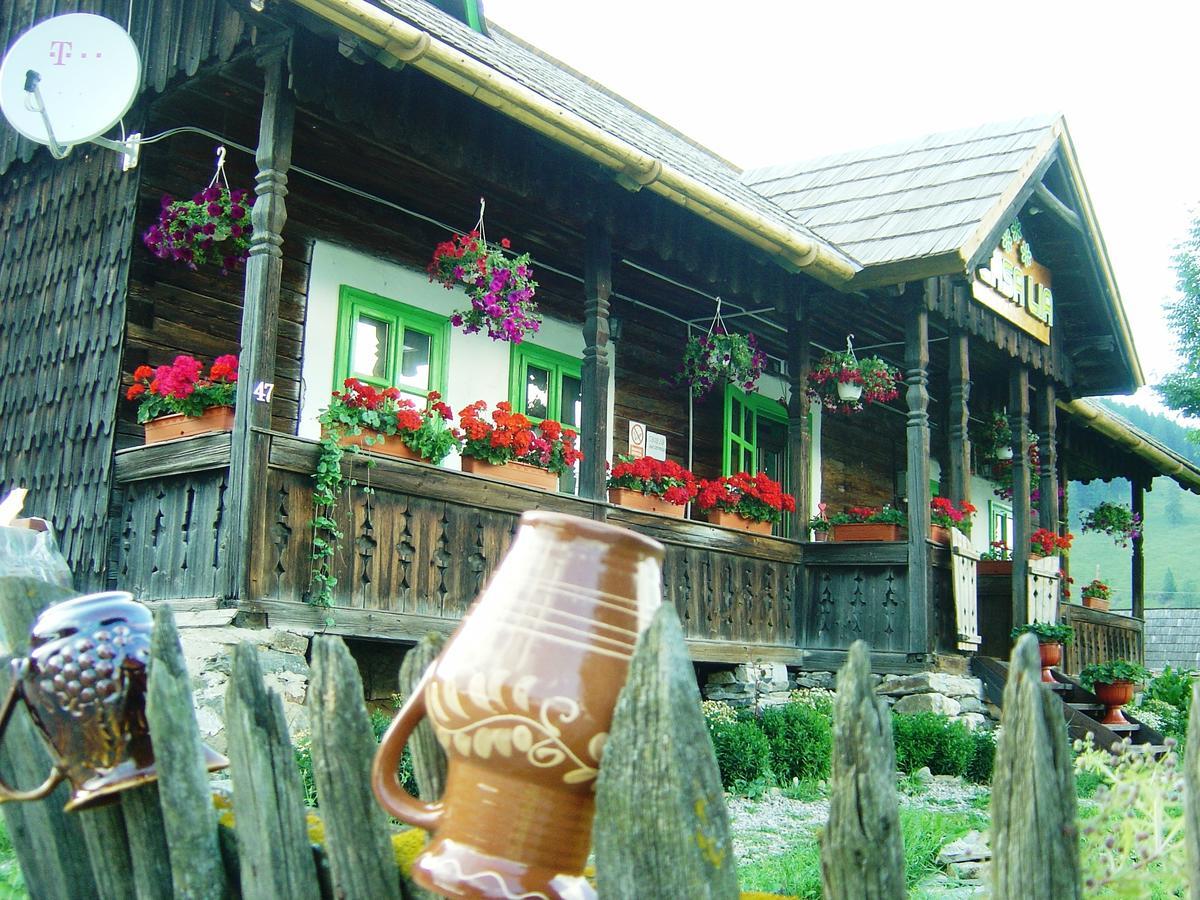 Casa Lia Valea Putnei Exterior foto